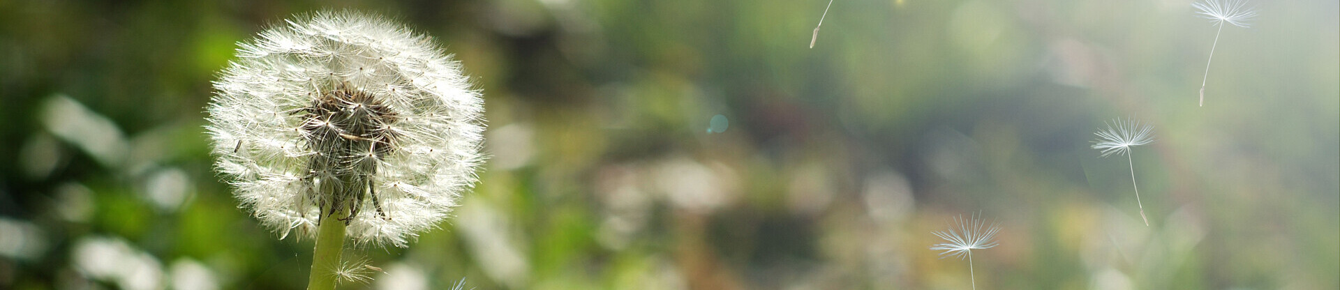 Hero banner image
